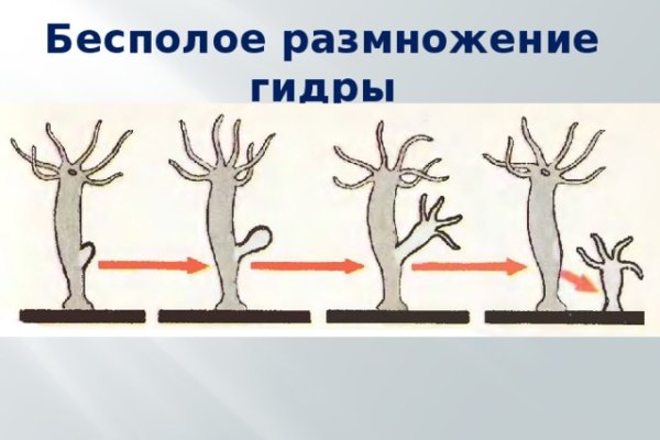 Даркнет официальный сайт вход