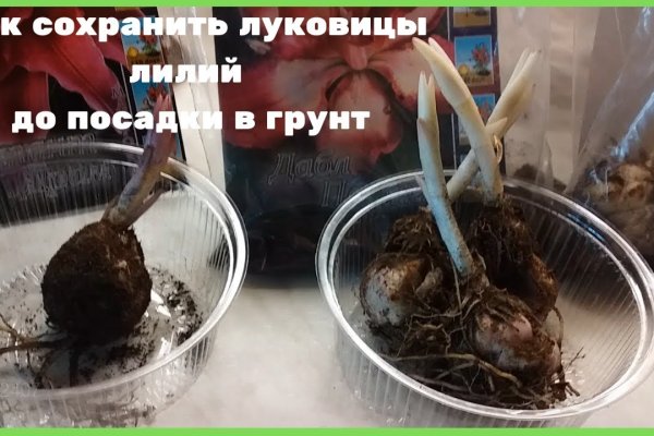 Кракен даркнет зеркало