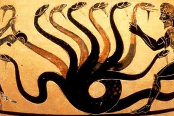 Kraken 20at net