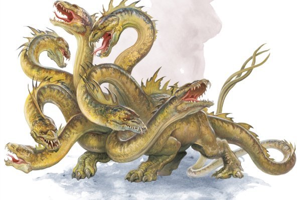 Kraken 17 at