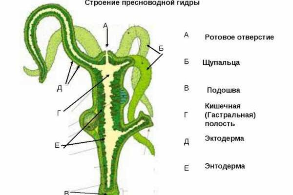 Кракен ссылка онлайн