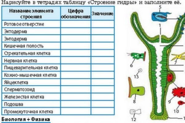 Услуги даркнета