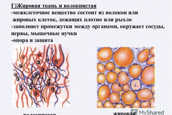 Пользователь не найден кракен