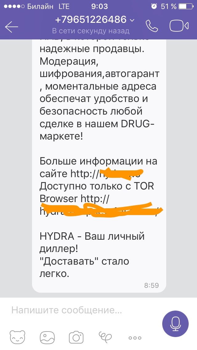 Kraken kraken link24 info